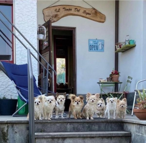 B&B Il tempo del sogno con cani e gatti Pet&Breakfast